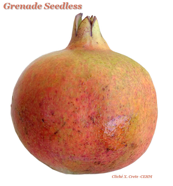 Grenade SEEDLESS