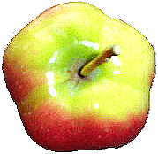 pomme api étoilé