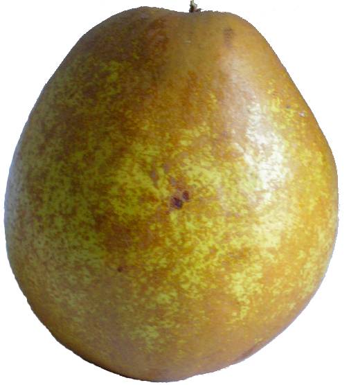 poire president heron