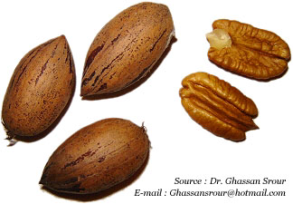 Noix de pecan