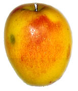 pomme bougie - clich&eacute;  e.arbez